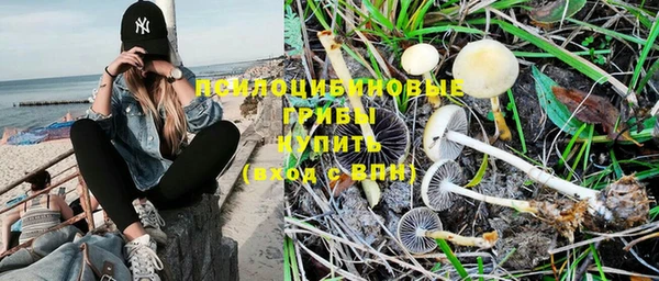 MDMA Premium VHQ Нея