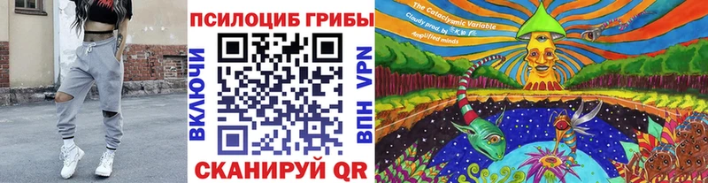 Галлюциногенные грибы MAGIC MUSHROOMS  Купить где  Тверь 